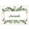 lavandi